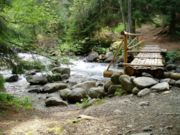 Lesný potok s mostíkom vo Vysokých Tatrách